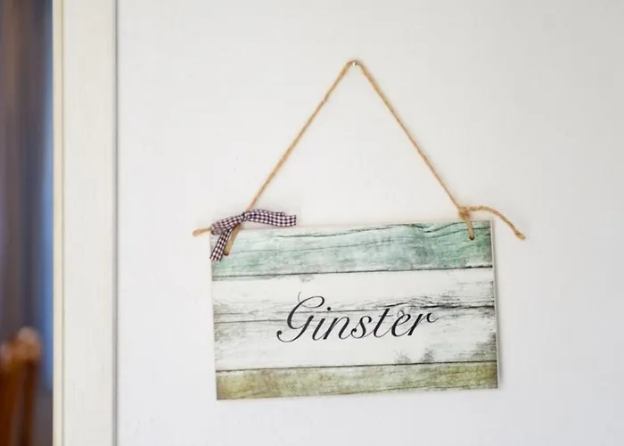 Ginster