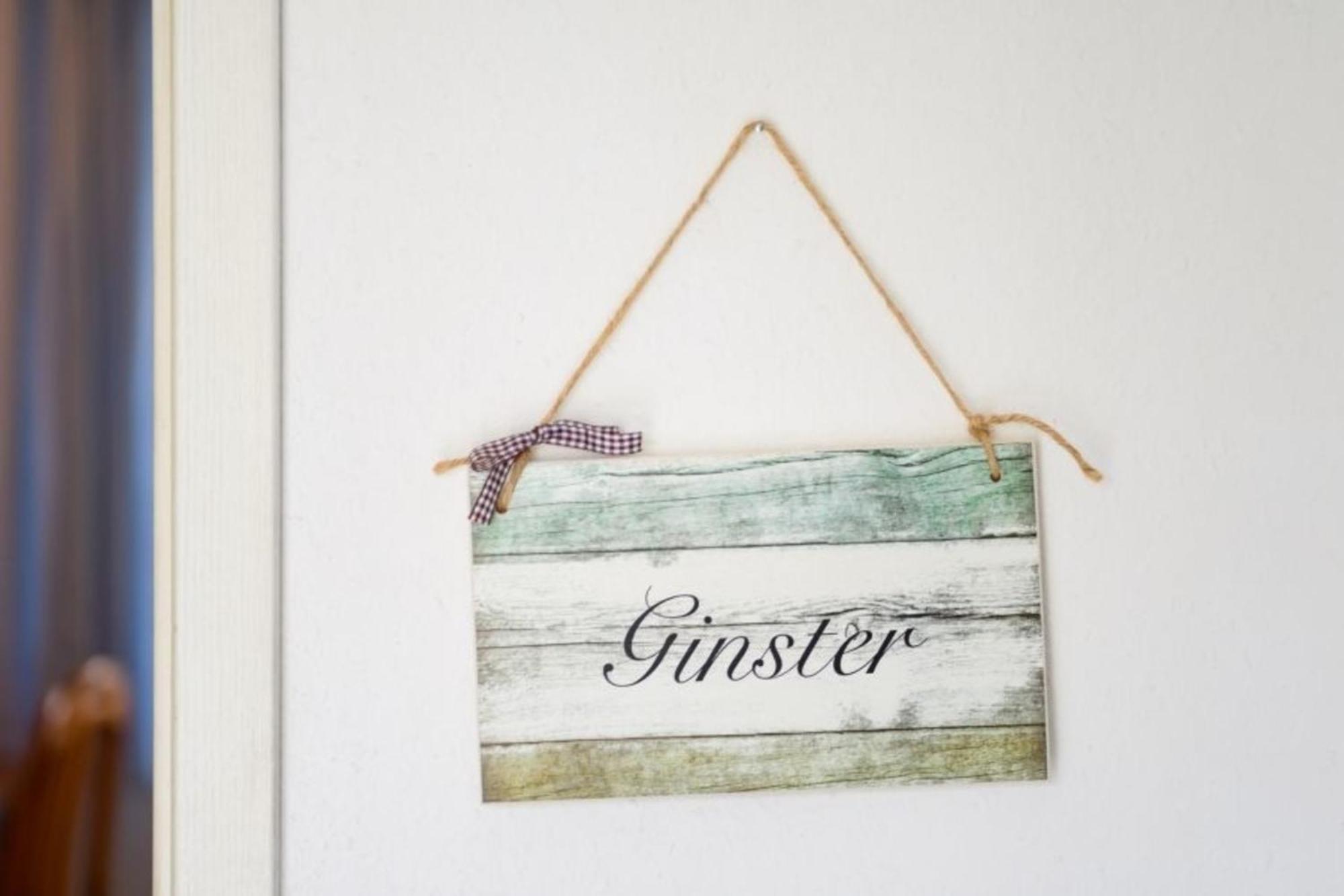Apartment Ginster
